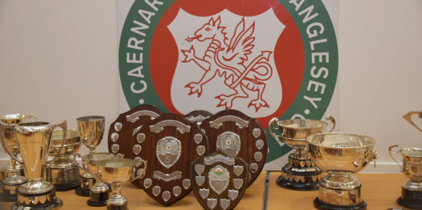 Annual dinner web pic